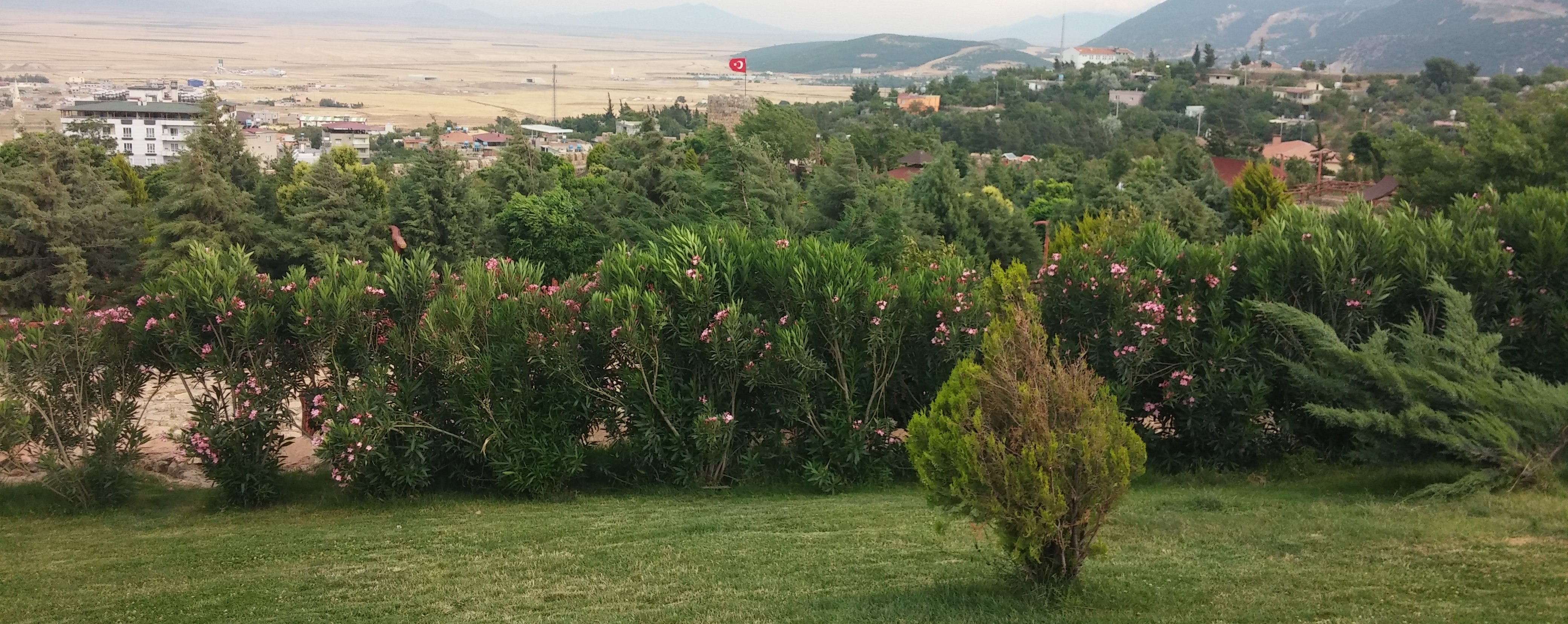 nurdagı